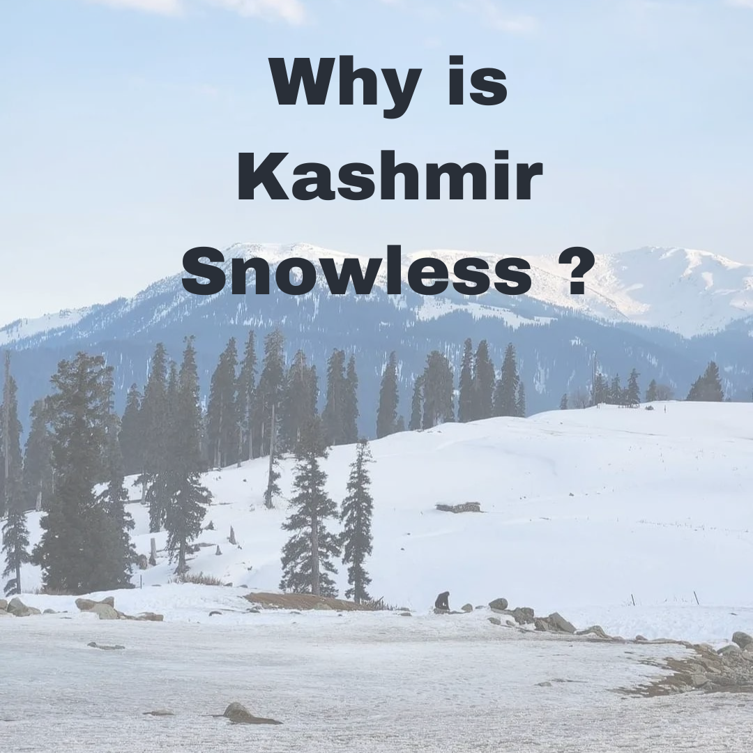 Kashmir’s Snowless Winter – Uncommon Weather Pattern Raises Concern
